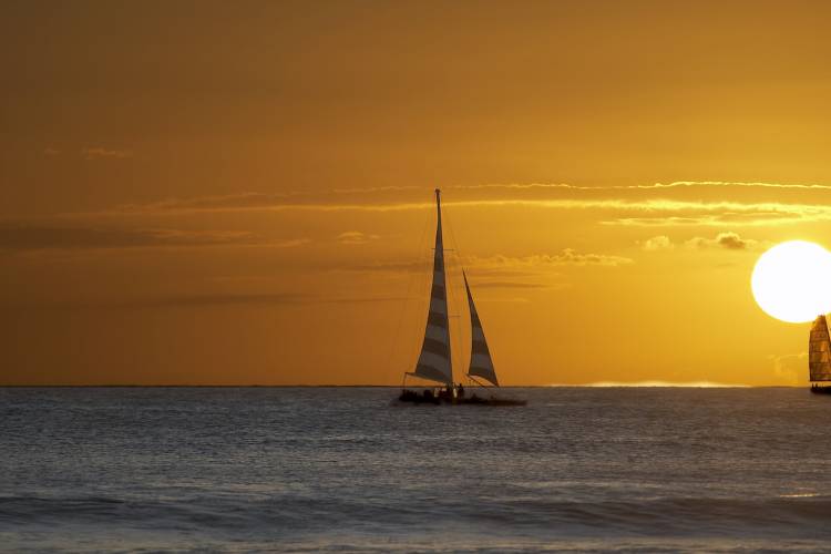 Sunset Sailboat Cruise